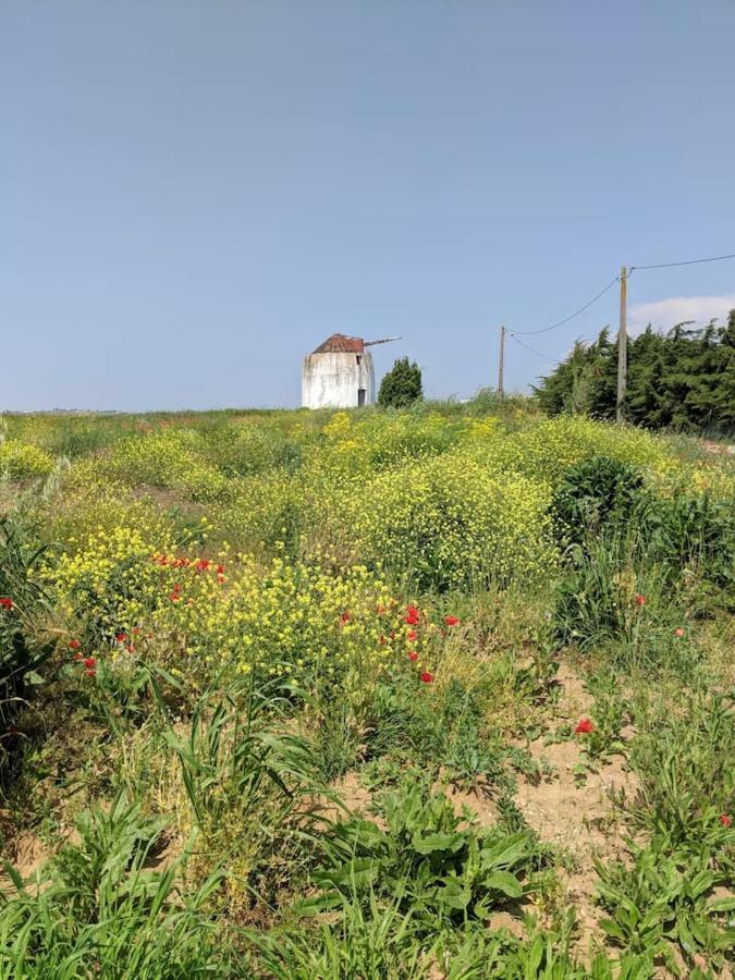 Pear Farm Villa Bombarral Exterior foto